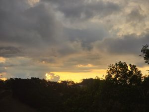 Sunset among trees and dark clouds, with warm light highlighting the contrast of the scene.