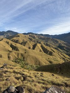 A panoramic view of rolling hills covered in golden grass under a clear blue sky, with distant mountains visible in the background. The landscape features varied elevations and a natural terrain, highlighting the undulating contours of the hills and a few patches of greenery peeking through the grass. sabana oka, puntarenas, costa rica