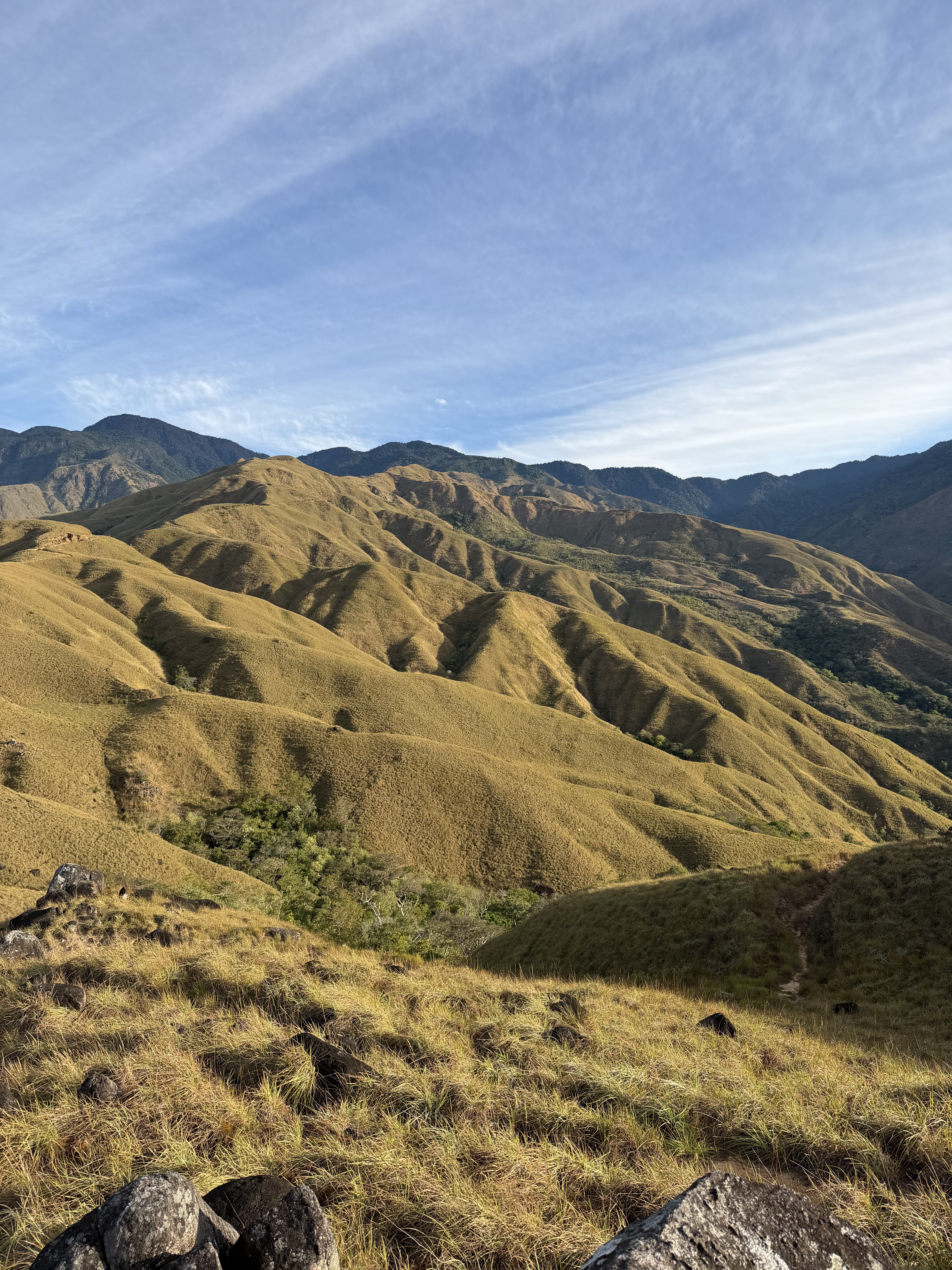 A panoramic view of rolling hills covered in golden grass under a clear blue sky, with distant mountains visible in the background. The landscape features varied elevations and a natural terrain, highlighting the undulating contours of the hills and a few patches of greenery peeking through the grass. sabana oka, puntarenas, costa rica