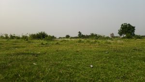 A wide landscape view shows a large open green field with a few trees and a small building under a pale sky.