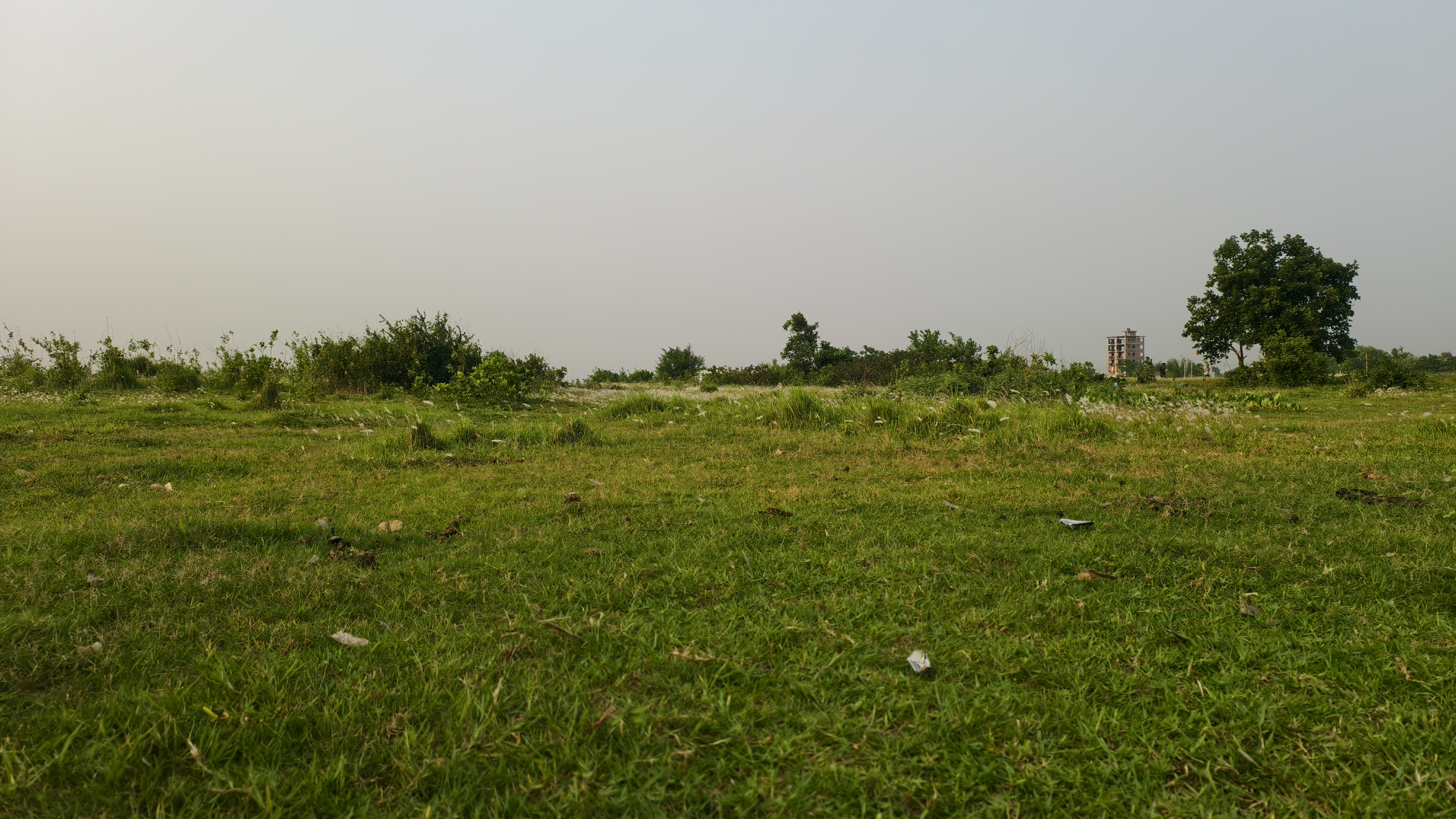 A wide landscape view shows a large open green field with a few trees and a small building under a pale sky.