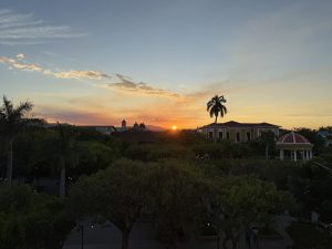 Tropical sunset in Granada, Nicaragua, featuring the silhouettes of palm trees against a vibrant orange and pink sky.