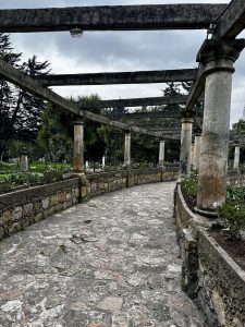 A curved stone pergola with weathered columns lines a cobblestone walkway in Parque Nacional Enrique Olaya Herrera, surrounded by rose bushes and fan palms under an overcast sky.
