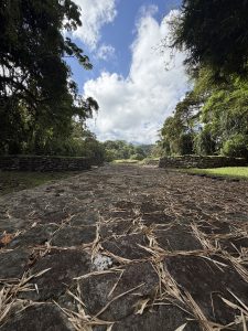 
A stone pathway stretches into the distance, framed by lush greenery on either side