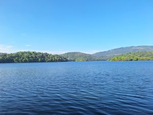 A serene view of a large body of water surrounded by lush greenery and rolling hills.