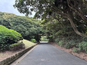 Narrow pathway at Inage Seaside Park with green trees and bushes.