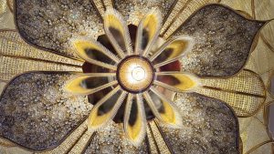 Ornate golden chandelier viewed from below, designed like a flower with petal-shaped lights radiating from a bright central bulb, surrounded by intricate crystal and mosaic patterns.