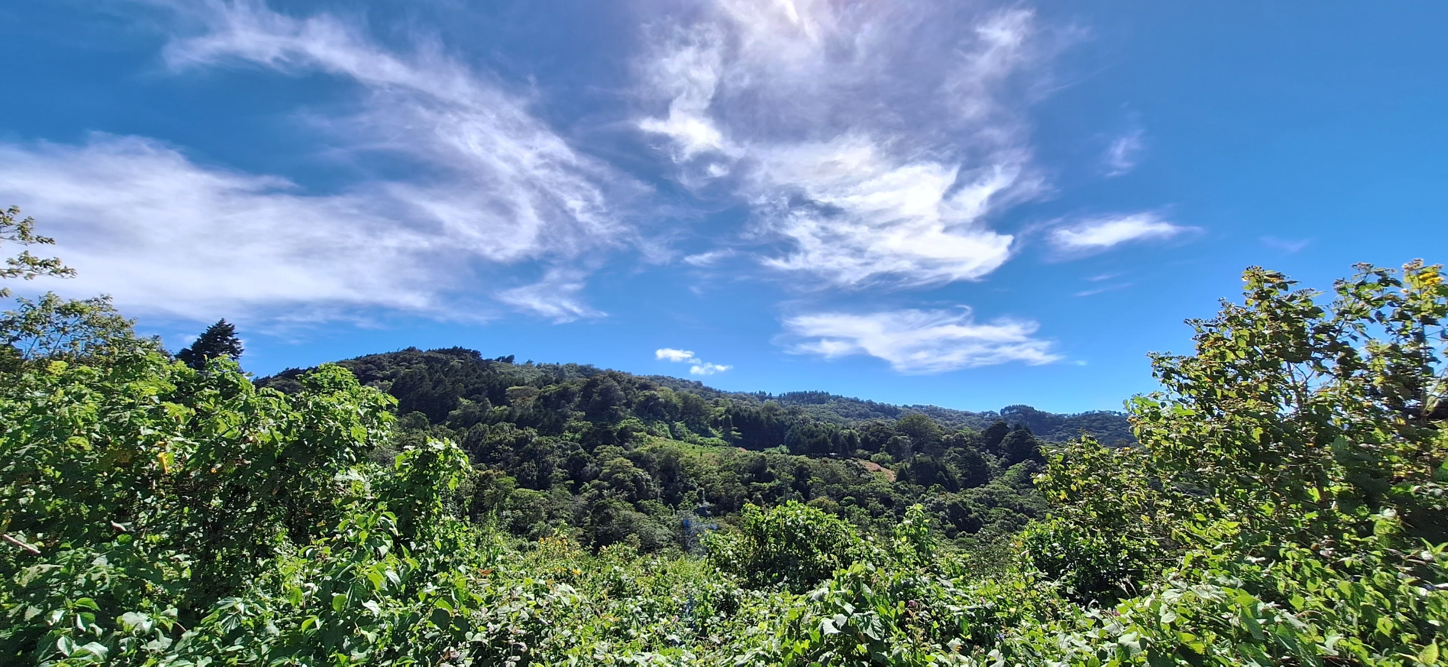A wide-angle view from Finca La Cayetana lookout. Lush green hills and tropical forests stretch beneath a bright blue sky filled with wispy, sweeping white clouds. The vibrant landscape captures the serene and airy atmosphere of the Costa Rican highlands.