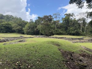 A serene landscape featuring a wide, grassy area interspersed with patches of rocky terrain. The background consists of dense green trees under a partly cloudy sky, with hints of blue peeking through the clouds. The scene conveys a sense of natural tranquility and untouched wilderness.