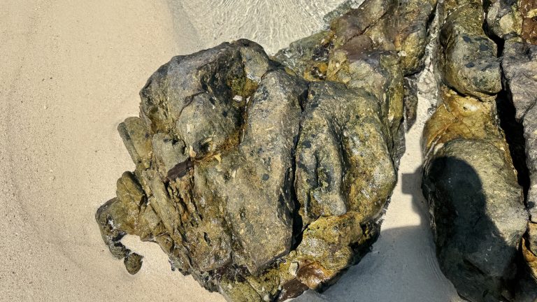 A close up top view shows a large rough rock on a sandy beach. The rock has a mix of dark grey, green, and brown colors. Some parts of the rock look wet. A small shadow of a person holding a camera is visible on the right side of the rock.