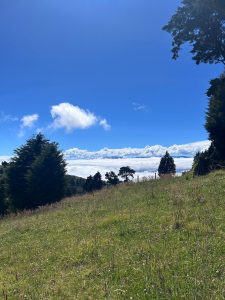A scenic view of a grassy landscape under a clear blue sky, featuring scattered clouds. In the foreground, there's a lush green field with tall grass and a few trees on the left side. In the distance, a thick layer of clouds covers the valley below, creating a striking contrast between the land and the sky.