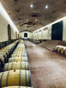 A dimly lit wine cellar featuring rows of wooden barrels with metal bands, arranged neatly along terracotta tiled floors. The high ceilings are adorned with recessed lighting, and there are stone walls with arches. At the far end, a large wooden door and a set of steps lead to a raised area. A few small windows are visible, allowing some natural light to enter the space.