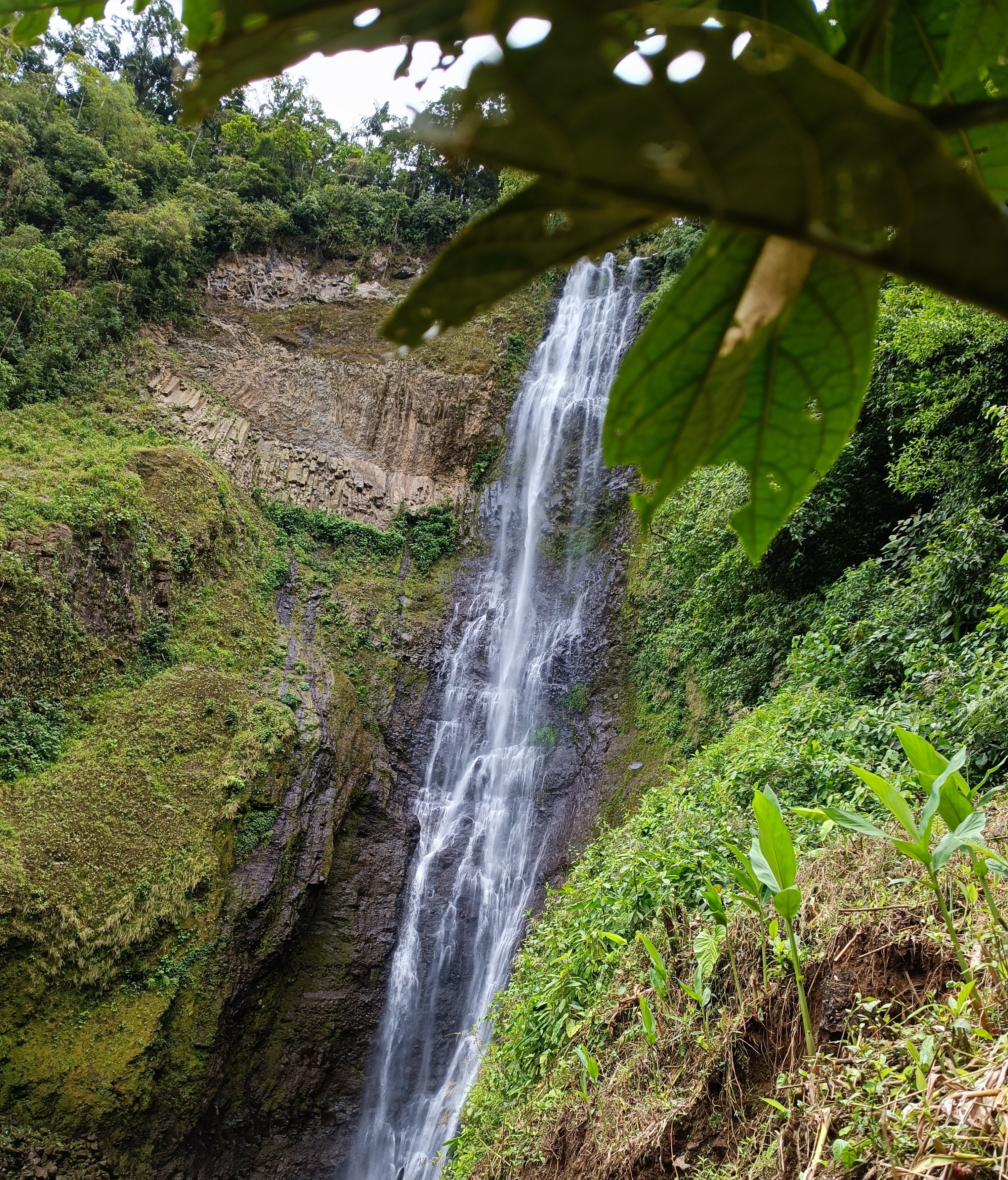 A picturesque waterfall cascading down a rocky cliff, surrounded by lush greenery and tropical plants.