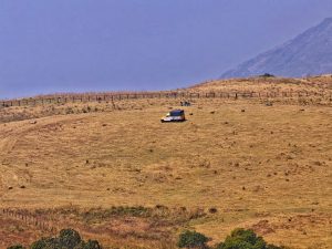 
A wide-open grassy landscape under a clear blue sky, featuring a lone structure in the center of the field.