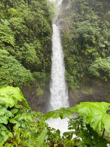 
A cascading waterfall flows down a rocky cliff, surrounded by lush greenery and dense tropical foliage. 
