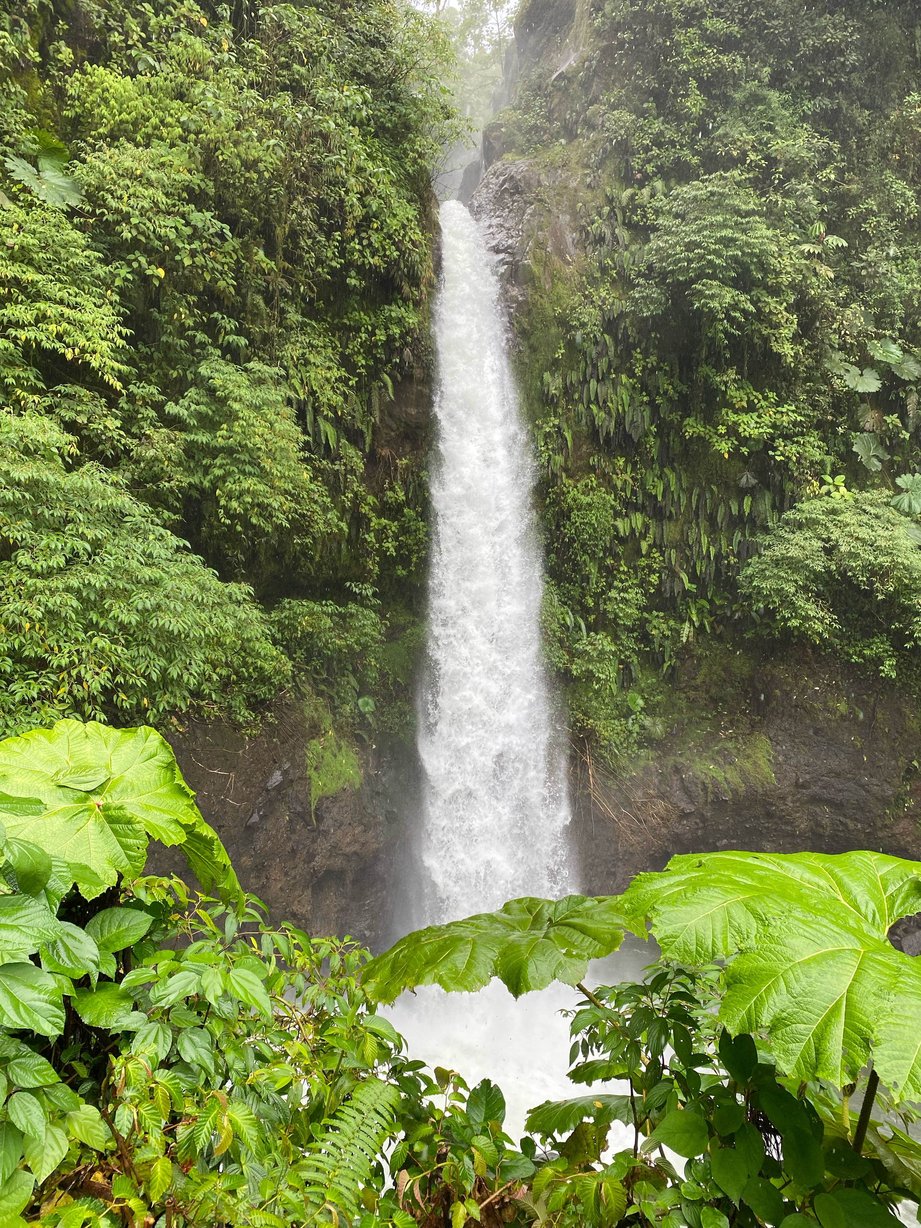A cascading waterfall flows down a rocky cliff, surrounded by lush greenery and dense tropical foliage.