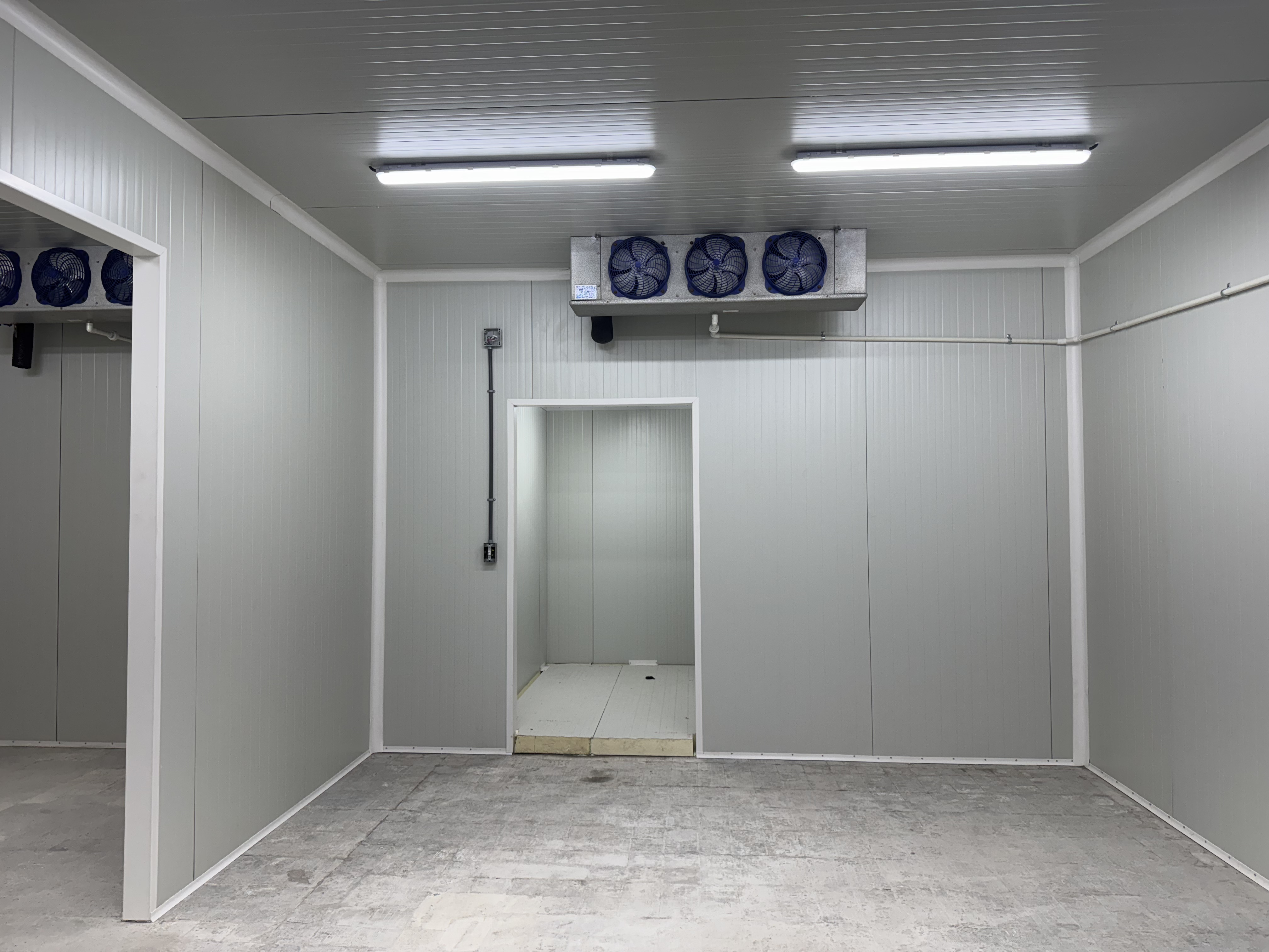 Cold storage room with an industrial evaporator.