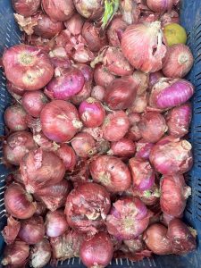 A basket filled with various red onions, showing a mix of sizes and shapes
