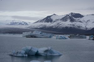 Ice formations floating in shallow water on a black sand beach in Iceland, showing contrast with dark volcanic sand and ocean waves.