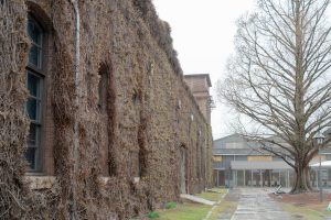 Kurashiki Ivy Square—a former Meiji-era red-brick factory turned tourist complex, known for its ivy-covered buildings.