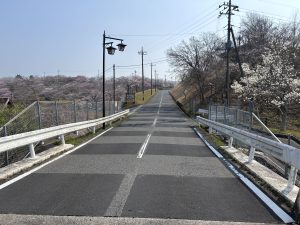 A road stretches into the distance, flanked by a guardrail and a chain-link fence on one side. Street lamps are visible, and the landscape features trees with blossoming pink and white flowers.
