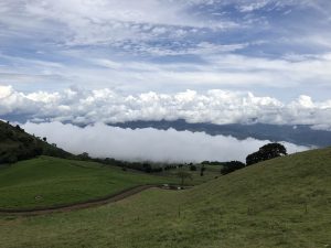 A beautiful view from the top of a green hill looking down at a valley filled with clouds. In the foreground, there are bright green slopes and a winding dirt road. In the middle of the image, a thick horizontal layer of white clouds covers the valley like a blanket. Above that, more fluffy clouds fill the blue sky. 