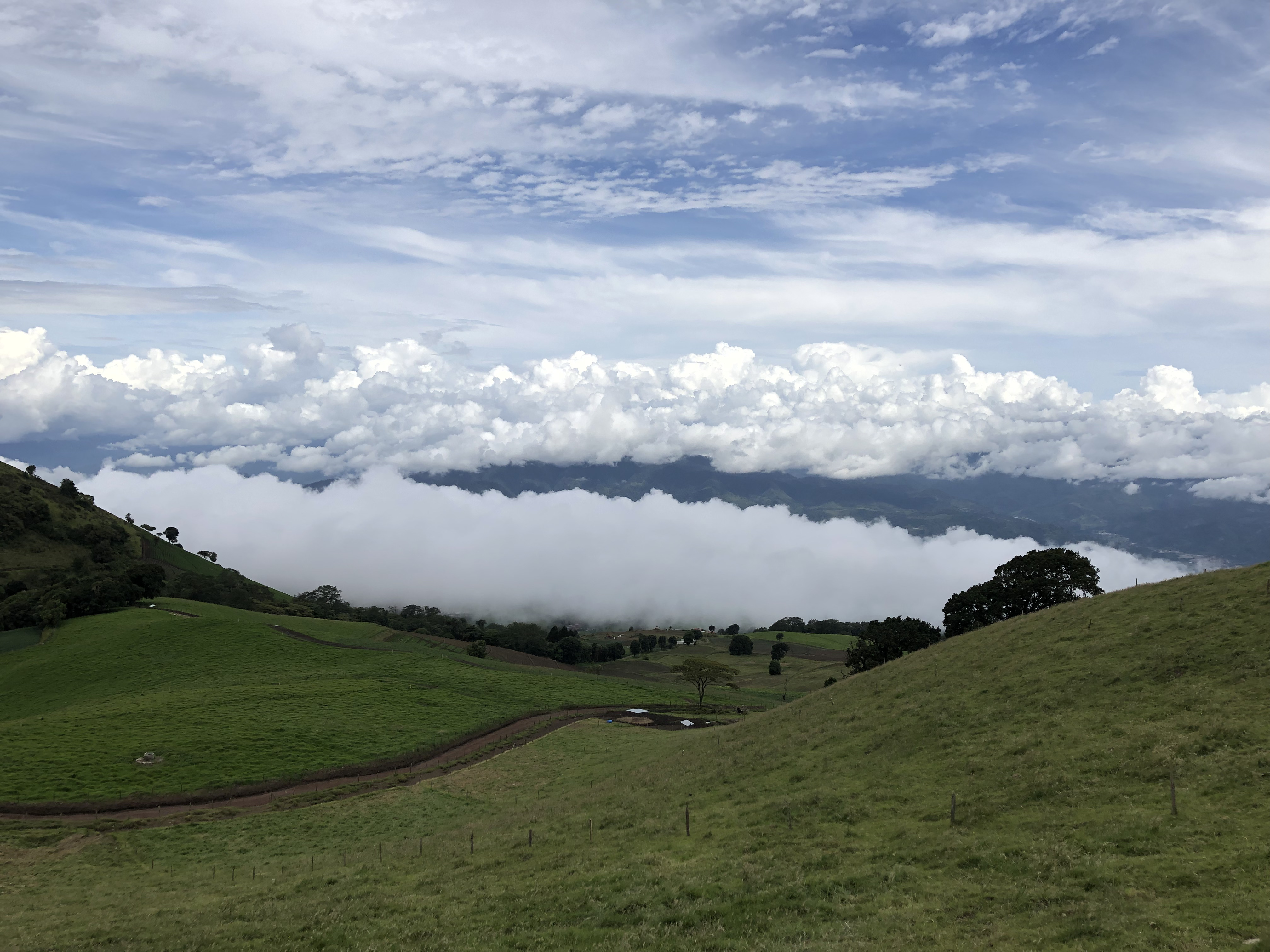 A beautiful view from the top of a green hill looking down at a valley filled with clouds. In the foreground, there are bright green slopes and a winding dirt road. In the middle of the image, a thick horizontal layer of white clouds covers the valley like a blanket. Above that, more fluffy clouds fill the blue sky.