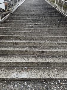 Wet stone steps at Achi Shrine, Kurashiki, covered with scattered cherry blossom petals.
