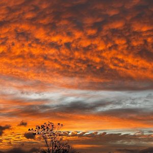 Dramatic sunset sky over Costa Rica with intense orange and red clouds stretching across the horizon. Layers of textured clouds create depth, while a silhouetted tree stands below, adding contrast. The scene captures a vivid tropical sunset with warm, glowing tones dominating the landscape.