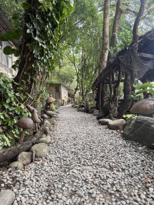 
A winding pathway made of pebbles leads through a lush, green landscape. On either side of the path, tall trees and dense foliage create a serene atmosphere