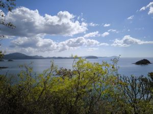 A beautiful ocean view from a sunny hill, with green branches in front. Calm blue water with small islands stretches under a bright, cloudy sky.