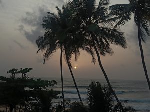 A serene beach scene at sunset featuring silhouettes of tall palm trees in the foreground
