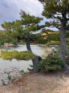 A serene landscape featuring a calm lake surrounded by manicured gardens. In the foreground, two twisted pine trees frame the view, with lush green needles and a mix of other vegetation at their bas