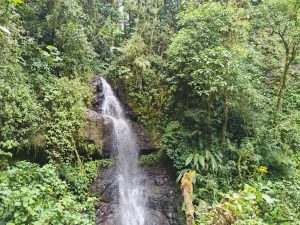 A waterfall cascading over rocky terrain, surrounded by lush green foliage and dense tropical plants.