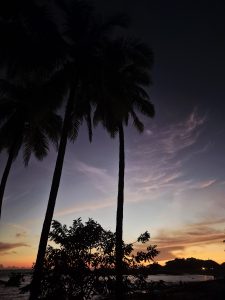 
A sunset view over a beach with silhouettes of tall palm trees in the foreground. The sky displays shades of purple, orange, and pink, while the horizon reflects the fading light
