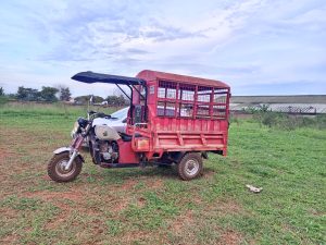 A red three-wheeled cargo tuk-tuk parked on grass, with a white car in the background under an overcast sky.