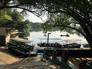 A calm lake with trees around it, soft morning light on the water, and small covered boats parked near steps and a simple dock, creating a quiet and peaceful place for boating or watching birds.