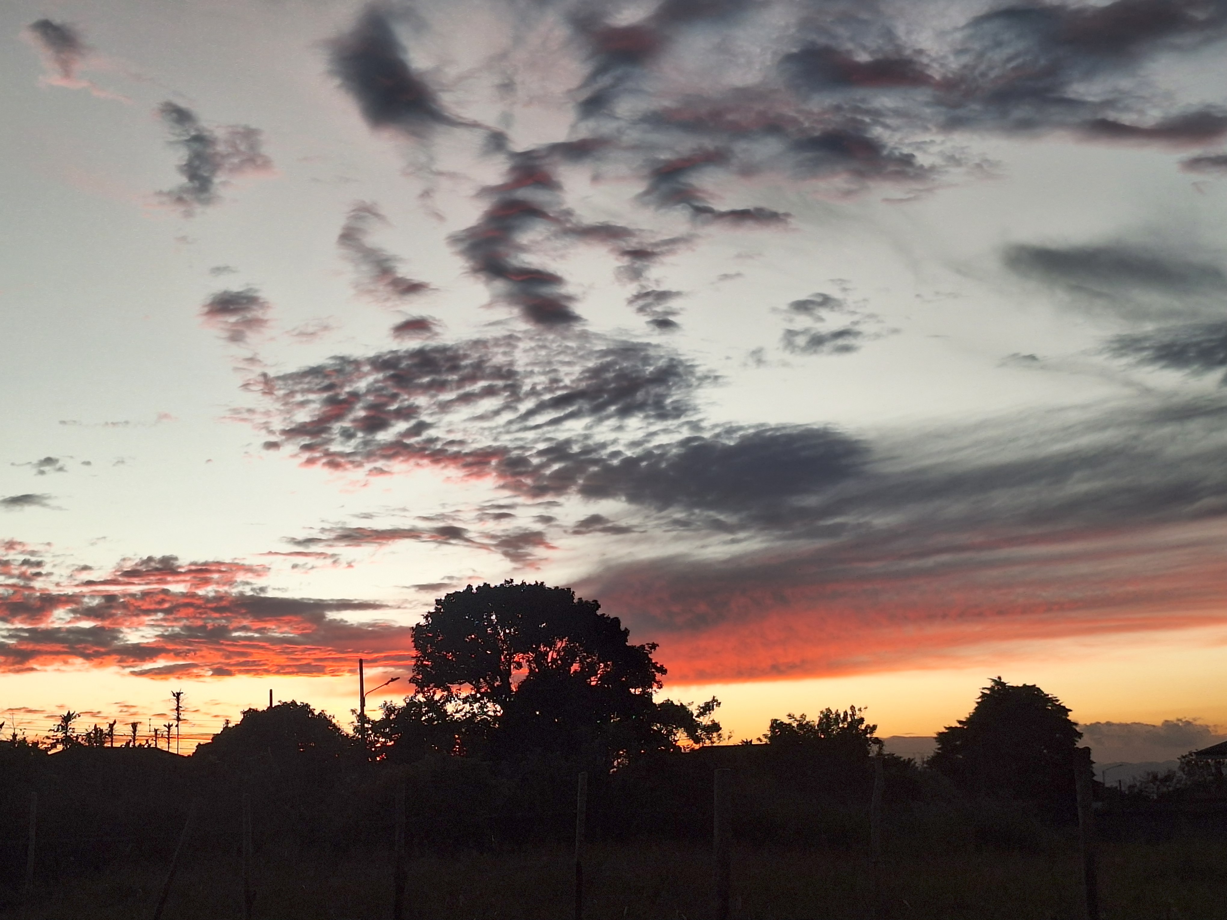 A vibrant sunset featuring a mix of colors in the sky, scattered clouds creating a dynamic texture, and silhouetted trees and power lines in the foreground against the fading light.