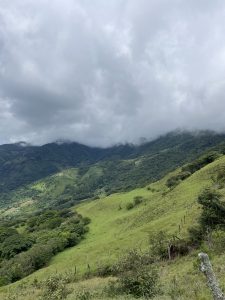 This wide-angle landscape captures a sprawling vista of rolling green hillsides covered in lush pastures, descending steeply into a deep valley. The central and right foreground are dominated by a vibrant, grassy slope, patterned with sections that appear almost terraced and marked by a rustic, weathered fence line that curves up the hill.