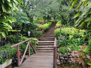 Wooden bridge leading to stone steps, surrounded by lush greenery and vibrant plants in a serene garden. The scene feels peaceful and inviting.