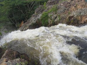 Frothy white water cascades down a steep rocky slope, creating a dramatic and energetic waterfall. The dark, jagged rocks are partially covered in small green shrubs, adding a touch of color to the rugged scene. The rushing water disappears into the lower river, framed by a thick backdrop of trees in the distance.