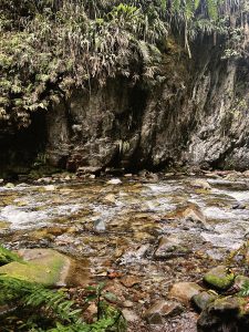 A clear, flowing river runs over a rocky bed with smooth stones of various sizes. The water appears to be gently cascading, creating ripples and small waves. Surrounding the riverbanks are lush green ferns and tropical plants, with a vertical rocky cliff covered in vegetation rising in the background. The scene conveys a sense of tranquility and natural beauty.