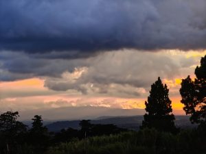 Dark storm clouds dominate the sky as a sunset with orange and pink hues breaks through, silhouetting trees and grass against distant mountains.
