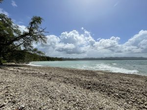 Cahuita National Park shoreline at Punta Cahuita, Costa Rica, with rocky sand, clear water, and trees.
