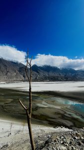 A solitary, leafless tree stands prominently in the foreground, its branches reaching upward. The backdrop features a vast, barren landscape transitioning from a riverbed to a mountainous region, where snow-capped peaks contrast against a bright blue sky dotted with a few fluffy clouds.
