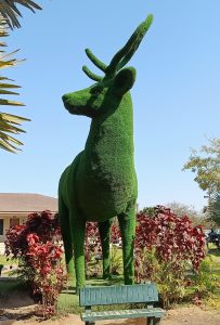 Topiary sculpture of a green deer, standing and looking left, against a blue sky and red foliage