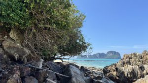 Large brown rocks and a green leafy tree are in the foreground of a beautiful beach scene. Through the branches, you can see the bright turquoise sea and a large rocky island in the distance. The sky is a solid bright blue.