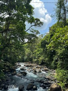 Rio Celeste is a beautiful blue river in Costa Rica.