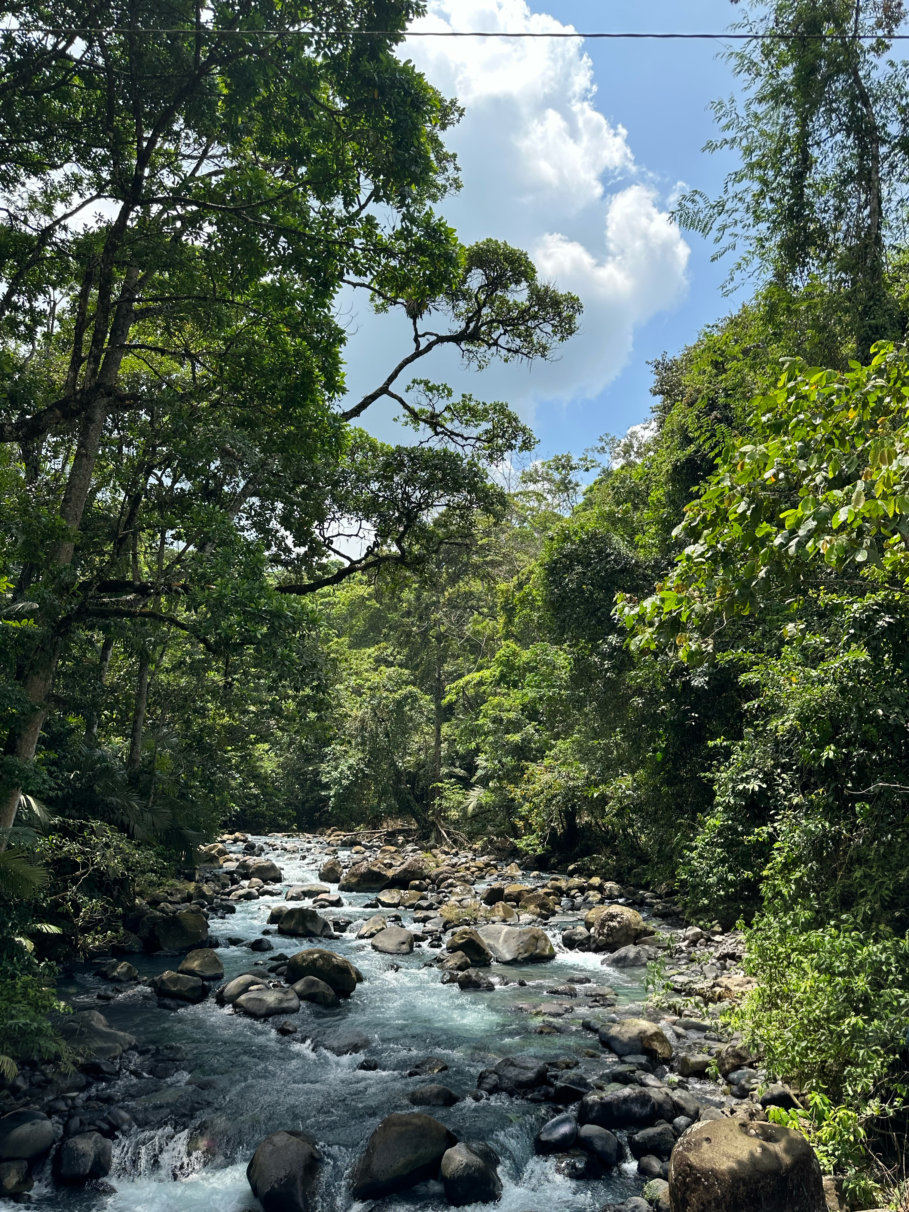 Rio Celeste is a beautiful blue river in Costa Rica.