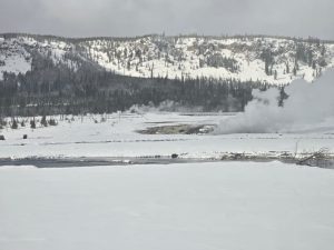 A winter landscape featuring a snowy expanse with a meandering river. In the background, snow-covered mountains rise with a dense forest of evergreen trees. On the right side, steam rises from a geothermal feature, hinting at hot springs in the area. Two dark shapes, possibly bison, are seen grazing a distance away. The sky is overcast, contributing to the serene yet chilly atmosphere.
